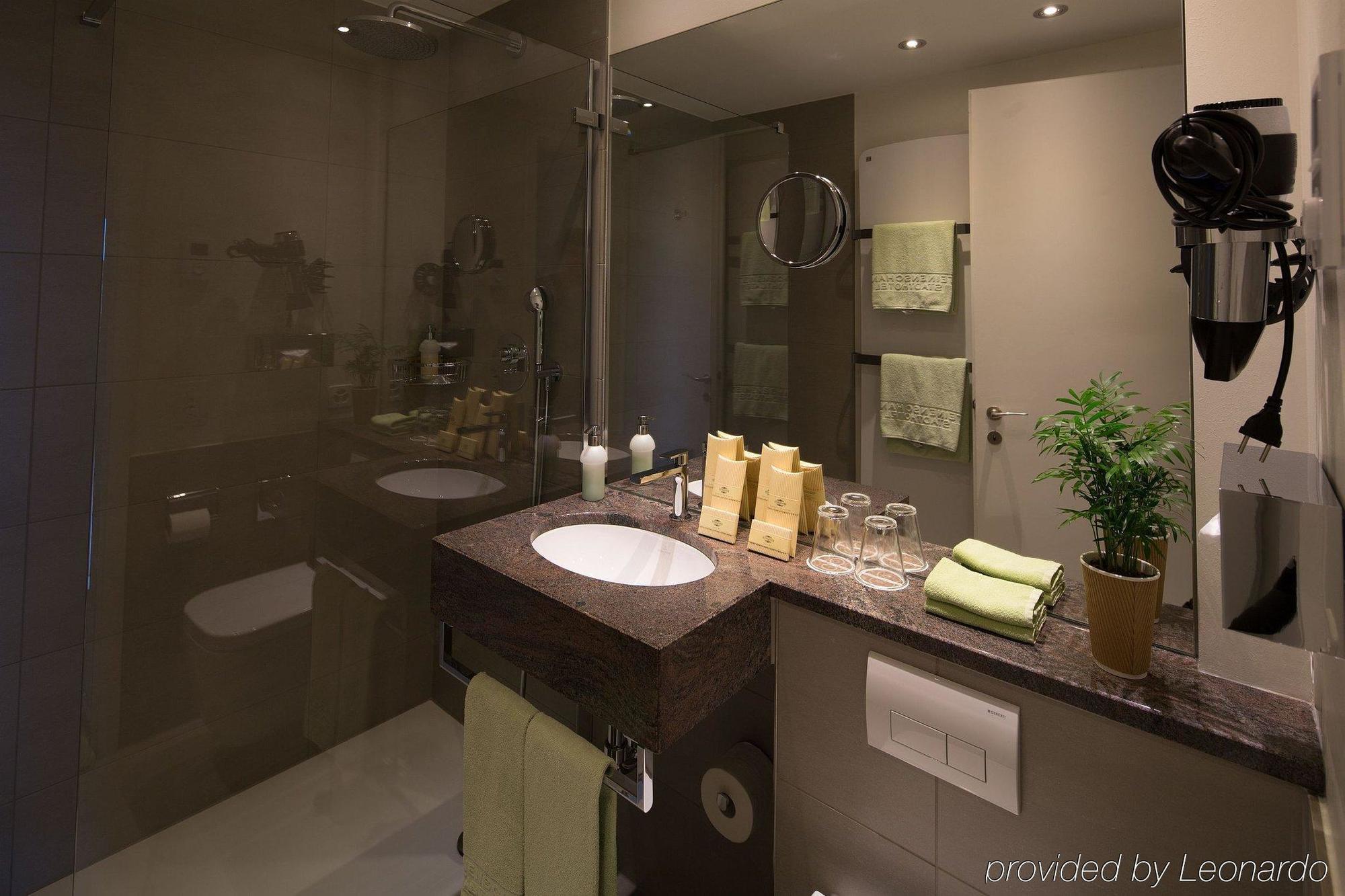 Steinenschanze Charming & Garden 3* Basel